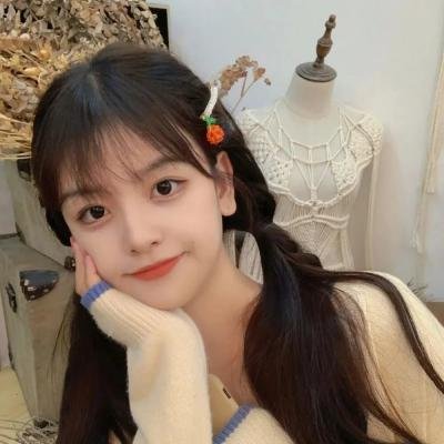 旗舰