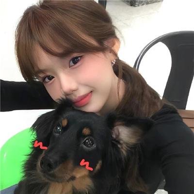 掟上今日子的备忘录